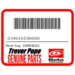 Bearing 16004p63