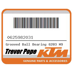 Grooved Ball Bearing 6203 W9