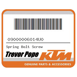 Spring Bolt Screw