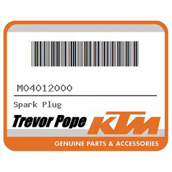 Spark Plug